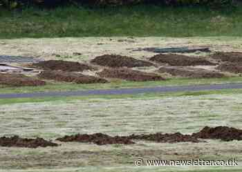 Coronavirus: NI council begins preparing graves in readiness for deaths surge - Belfast Newsletter