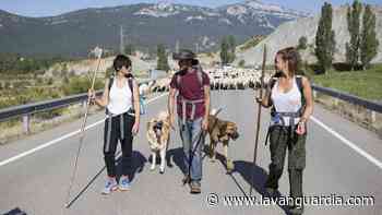 Mariló Montero regresa a TVE ‘entre ovejas’ - La Vanguardia