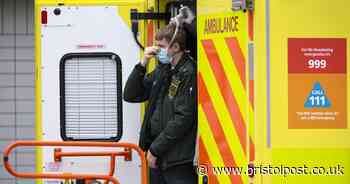 Rate of daily deaths in UK could increase for next three weeks