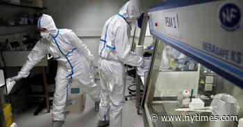 Covid-19 Changed How the World Does Science, Together