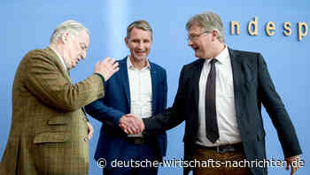 Meuthen erwägt Teilung der AfD, Höcke protestiert