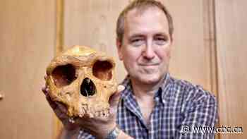 Solved mystery shows 3 human species shared Africa 300K years ago
