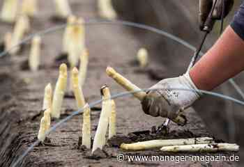 Coronavirus und die Folgen: 40.000 Erntehelfer aus Osteuropa dürfen nach Deutschland einreisen