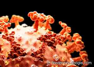 New research pegs COVID-19 death rate at 0.66%