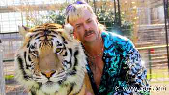 Tiger King: Where are Joe Exotic, Carole Baskin, Rick and the rest now?     - CNET