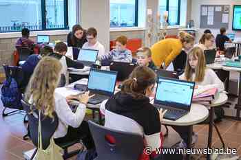 Scholen organiseren e-infodagen op hun website