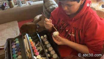 Mother-son duo paints rocks to inspire others during COVID-19 crisis