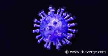 The best graphs and data for tracking the coronavirus pandemic