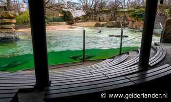 Verlaten dierentuinen en pretparken door coronacrisis, dat ziet er zó uit