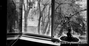 The World’s Great Photographers, Now Insiders, Are Posting Quarantine Pics