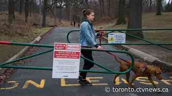 New rule prohibits walking within two meters of another person in Toronto parks