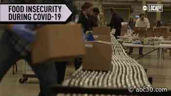Chicago area food banks go into 'disaster mode' to deal with COVID-19