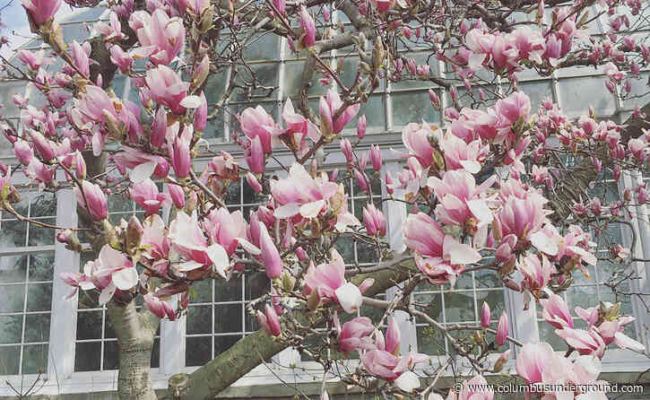 Mega Weekend – Fun Things To Do In(side) Columbus