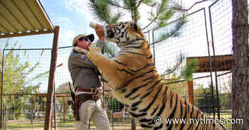 Love ‘Tiger King’? You’ll Love These Books, Too