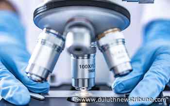 Duluth medical researcher reprimanded - Duluth News Tribune