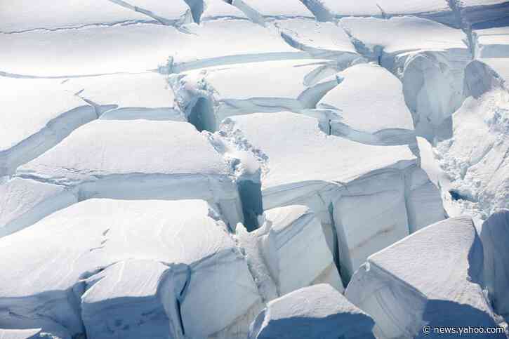 Frozen and desolate Antarctica once boasted warm, swampy rainforests