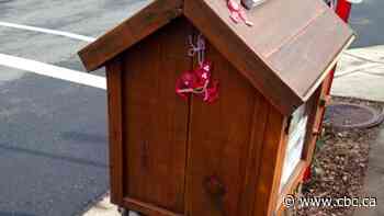 Little Free Libraries are quite the page turners around Saskatoon - CBC.ca