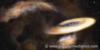 Astronomers Finally Discover the Elusive Mid-Sized Black Hole