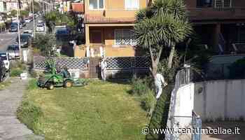 Civitavecchia. Raccolta a domicilio degli sfalci d'erba - Centumcellae News
