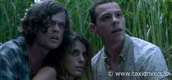 Il trailer di Nell'erba alta di Vincenzo Natali, disponibile su... - Taxidrivers.it