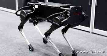 How a Real Dog Taught a Robot Dog to Walk