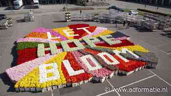 Bloemenbureau Holland lanceert ‘Let Hope Bloom’-campagne