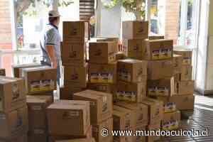 Camanchaca entrega 9 toneladas de conservas en Coronel y Tomé y aporta con equipo de sanitización - Mundo Acuícola