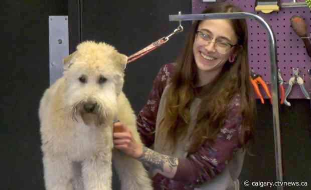 ‘I would’ve had to shut down.’ Some landlords in Calgary giving big breaks on rent as pandemic proceeds