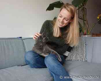 Hoe Fikkie en Tijger ons door de crisis slepen: ‘Ik ben nog nooit zo blij geweest dat ik een kat heb’