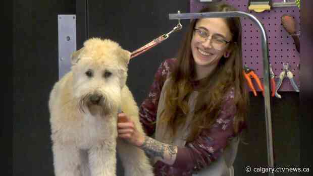 'I would’ve had to shut down': Some landlords in Calgary giving big breaks on rent as pandemic proceeds