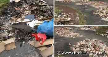 Surge in fly-tipping with Newcastle tips shut in lockdown