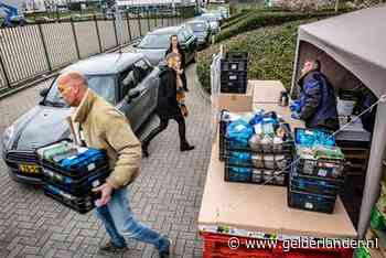 Totale paddenstoelengekte; forse file voor schapevoetjes, koningsoesterzwammen en eryngii