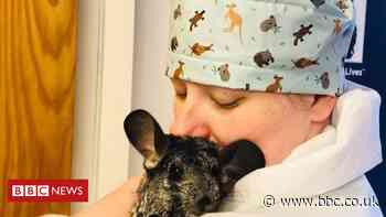 Coronavirus: Volunteer army of seamstresses mobilise to help NHS workers
