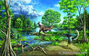How Late Cretaceous Dinosaur-Dominated Ecosystems Were Structured