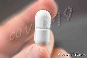 Antimalarial Drugs, Chloroquine and Hydroxychloroquine, May Ward Off COVID-19 – Here’s How to Use the Limited Global Supply