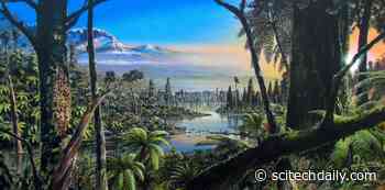 Ancient Antarctica Rainforest Discovery Suggests Prehistoric World Much Warmer Than Thought