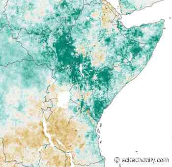 Heading Off a Locust Invasion Using NASA Satellites