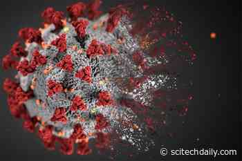 Companies Affiliated With MIT Take On COVID-19 Pandemic Using Technology