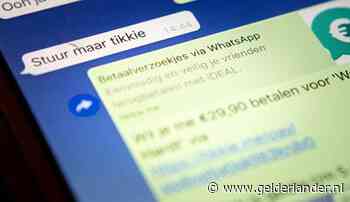 Arnhemse verdachte van grootschalige oplichting via internet mag thuis wachten op strafzaak