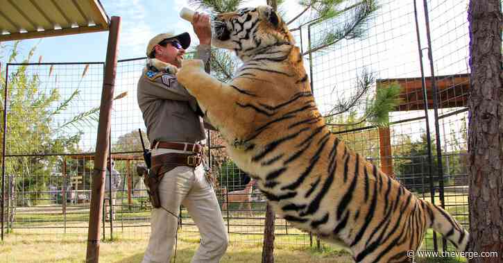 Tiger King is a viral success because Netflix rules the jungle
