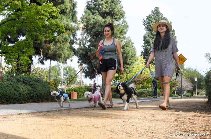 If we can safely distance at the grocery store, surely we can do the same at parks
