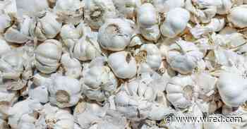 The Biggest Coronavirus Myths, Busted