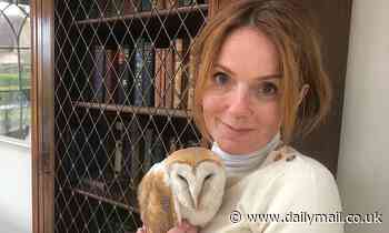 Geri Horner shares sweet snap with barn owl she rescued after it had flown into a telephone wire