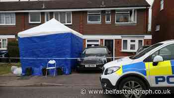 Mother and daughter found dead after house fire had been stabbed