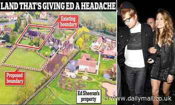 Superstar Ed is trying to ban his neighbour's garden extension