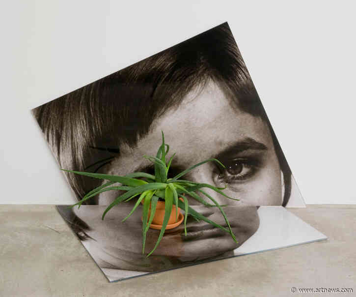 Marlo Pascual, Rising Art Star Inspired by Amateur Photography, Is Dead at 48