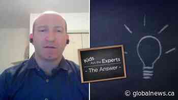 Kids put their COVID-19 questions to the experts: Part 2