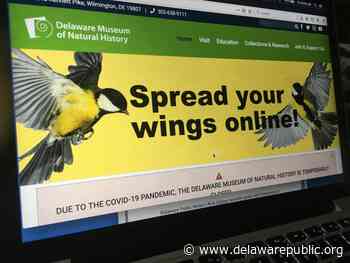 Arts Playlist: Connecting with audiences online during COVID-19 - Delaware First Media