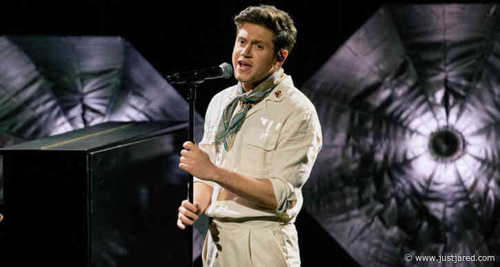 Niall Horan Cancels His 'Nice To Meet Ya' World Tour: 'This Was A Difficult Decision'