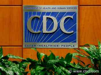 CDC says we all should wear face coverings to avoid spreading virus     - CNET